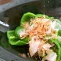 サトモユリア's cooksnap of when they made ピーマンのおかか醤油炒め.