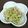 ◎ブルーベリー◎'s cooksnap of when they made もやしとキャベツのオイごま和え　どすぇ.