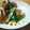 RNhh's cooksnap of when they made ちょっとお洒落な☆白身魚のムニエル☆.