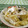 赤い電話's cooksnap of when they made 白菜の簡単塩こぶ和え.