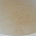 kkll0000's cooksnap of when they made レンジで！迅速じんわり中華大根スープ.