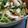 いしまいﾁｬﾝ's cooksnap of when they made 水菜&蒸し鶏のワサビナムル◎.