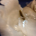 し〜〜ちゃん's cooksnap of when they made 簡単千枚漬け♪.