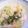 Nanakane's cooksnap of when they made エビとチンゲン菜、玉ねぎのクリーム煮.