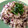M♀エムエム's cooksnap of when they made セリのマヨネーズ炒飯.