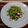 honeyrock's cooksnap of when they made タコとセロリとカイワレのエスニックサラダ.