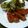 もりはん's cooksnap of when they made 簡単！ポークソテー.