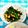 SP♪'s cooksnap of when they made 栄養満点！ほうれん草と平てんの胡麻和え.