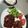 クック3PPFMV☆'s cooksnap of when they made エノキでかさ増し、ハンバーグ.