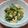 asahiman's cooksnap of when they made ゆで卵で苦くない！簡単ゴーヤの塩昆布和え.