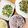 nana_koko's cooksnap of when they made ナスとキュウリでご飯が進む！絶品やたら☆.