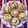 じゅんべぇ's cooksnap of when they made 洋梨のフラン.