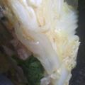 ａｙａｓｍａ's cooksnap of when they made 白菜と鳥ミンチのかさね蒸し.