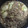 nursemam's cooksnap of when they made 牛肉ときのこのすき煮.