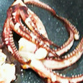 ルイユイ♡mom's cooksnap of when they made 里芋といかの煮物.