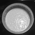 halulun3's cooksnap of when they made ヨーグルティアde簡単♪米こうじの甘酒.