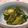 ななマム's cooksnap of when they made 漬け物好きのきゅうりと青じそのピリ辛漬け.