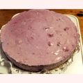 もぐもぐちょりす's cooksnap of when they made ブルーベリームース♪.
