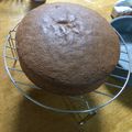 テポっち's cooksnap of when they made ココアスポンジ(ノンオイル18cm丸型）.