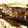 Santorini's cooksnap of when they made ぶりの照り焼き.