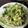 クックTW1J61☆'s cooksnap of when they made 即席☆白菜の漬け物 梅塩昆布.