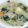 クック81NK9U☆'s cooksnap of when they made ＊牡蠣とほうれん草のクリームシチュー＊.
