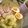 mi◎kitchen's cooksnap of when they made 紅の豚丼★スープセット.