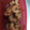 ☆★あーこ★☆'s cooksnap of when they made アシアカの煮付け.