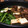 サク太郎◎'s cooksnap of when they made 簡単★美味しい♪すき焼きの割下.