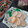 toramaru39's cooksnap of when they made 我が家の　ほたての刺身.