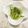 ネコかえる's cooksnap of when they made レンジで簡単★水菜の辛子和え.