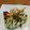 ＊ちいさなしま＊'s cooksnap of when they made ケークサレ☆お好み焼き風.