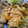 imocooking's cooksnap of when they made 簡単トロトロ豚の生姜焼き.