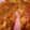 のあきら1122's cooksnap of when they made 簡単なのに美味しいりんごのパウンドケーキ.