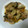 クックMGDQ05☆'s cooksnap of when they made 牡蠣の佃煮.