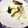 ジロウわん！'s cooksnap of when they made 【大量消費】簡単白菜の漬物.