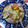 夏の白いワンコ♪'s cooksnap of when they made 鶏肉とあさりの蒸し煮.