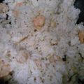 lovesmile0625's cooksnap of when they made *簡単 ランチに♡シーフードピラフ*.