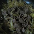 クック鳩゜'s cooksnap of when they made おばんざい✿牛肉と白菜のくたくた煮✿.