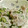 silver0124's cooksnap of when they made 和風さといもサラダ.