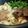 miho2390's cooksnap of when they made 手作り割り下で関東風すき焼き.