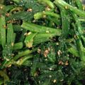 Rまいまい's cooksnap of when they made ほうれん草胡麻和え (春菊も可).