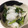 ゆりさんだよ's cooksnap of when they made 簡単　かぶのお漬物.