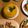 ぼんぼん東京で元気's cooksnap of when they made 離乳食★ベビと食べよう！クリスマスケーキ.