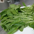 みゆゆ監督's cooksnap of when they made 茹でずにそのまま冷凍保存 ほうれん草.