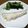 Grifola's cooksnap of when they made 鱈の酒蒸し⭐.