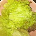 ma___111's cooksnap of when they made レタスだけ☆頑張れダイエッター☆.