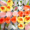SAKSAKI's cooksnap of when they made ❀パーティーやおもてなしに✿手まり寿司＊.