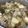 福's cooksnap of when they made 寒い季節に！豚つくねスープ鍋！.