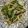 TeaChan214's cooksnap of when they made 本格ラーメン屋風の肉野菜炒め.